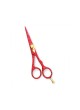 Professional Hair Cutting Scissors